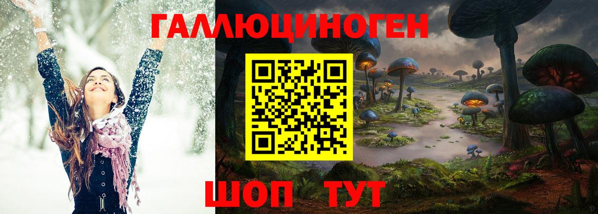 Псилоцибиновые грибы прущие грибы Шелехов
