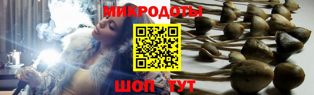 Галлюциногенные грибы мухоморы  Вход с VPN  Шелехов 